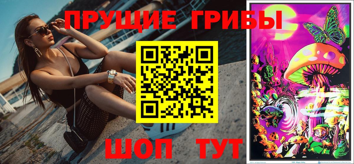 Псилоцибиновые грибы ЛСД Елец