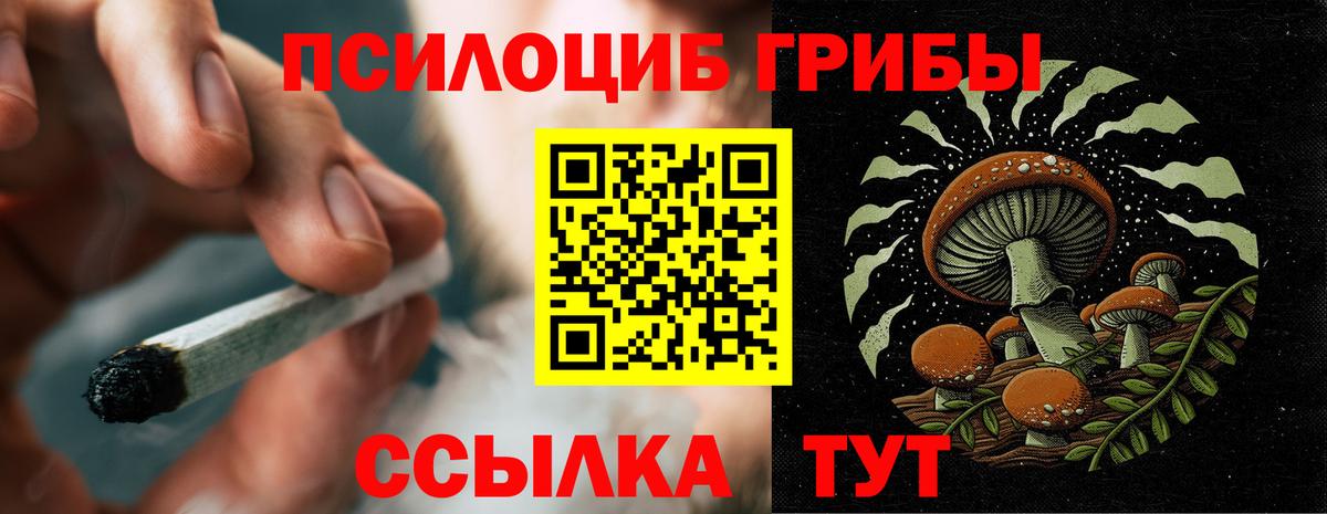 Псилоцибиновые грибы мицелий  Вход с VPN  купить закладку  Псилоцибиновые грибы мицелий  Елец 
